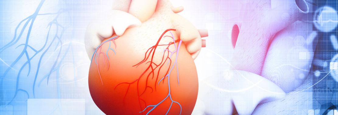 Cuore. Inquinamento, fattori socio-economici, psicologici e anche malattie infettive, ecco i nuovi nemici dai quali difendersi