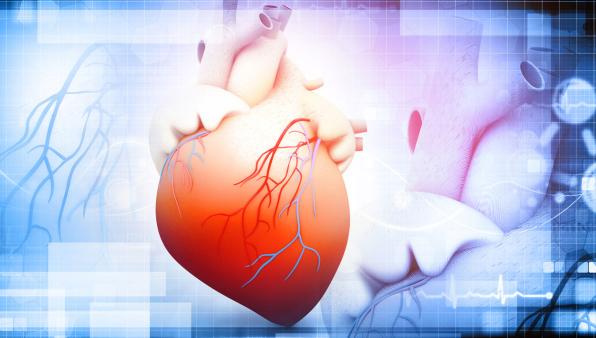 Cuore. Inquinamento, fattori socio-economici, psicologici e anche malattie infettive, ecco i nuovi nemici dai quali difendersi