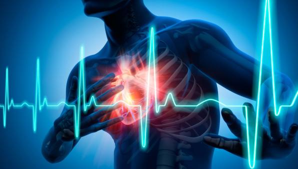 Infarto del miocardio: Italia guida progetto Ue per sviluppare un farmaco a Rna in grado di rigenerare cuore e vasi