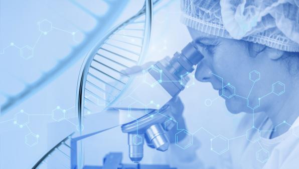 Nobel per la Medicina: premio agli statunitensi Ambros e Ruvkin per la scoperta dei miRna