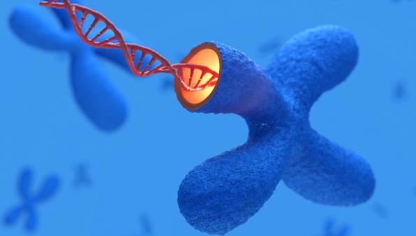 Decoding Epigenetics for Cancer Therapy and Care