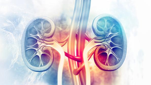 Transforming kidney health and the burden of CKD