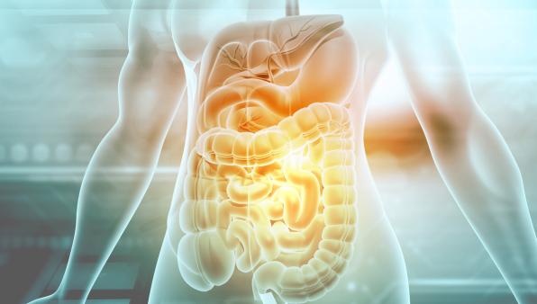 Novel molecular mechanisms in chronic intestinal pseudo-obstruction