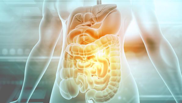 ICR researchers uncover new method for predicting bowel cancer risk in IBD patients